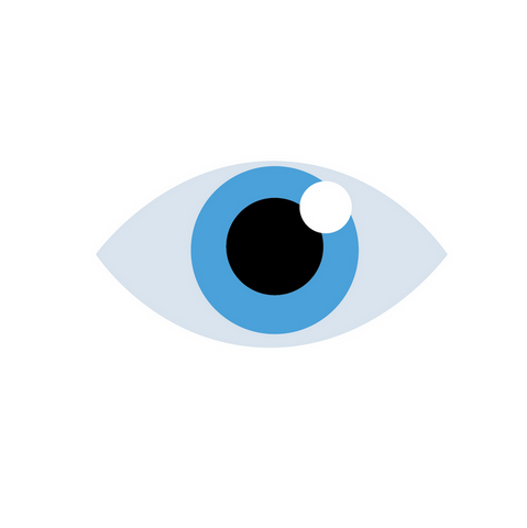 Icone oeil